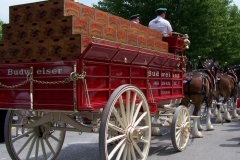 2006: Back of the Budweiser Beer Wagon
