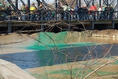 Greening the St. Marys River