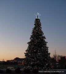 Parkview Field Christmas Tree