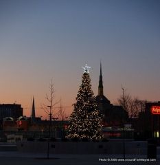 Parkview Field Christmas Tree