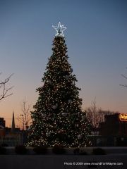 Parkview Field Christmas Tree