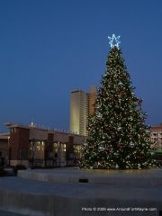 Parkview Field Christmas Tree