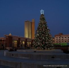 Parkview Field Christmas Tree