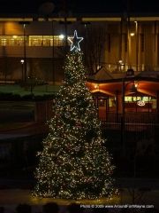 Parkview Field Christmas Tree