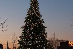 Parkview Field Christmas Tree