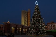 Parkview Field Christmas Tree