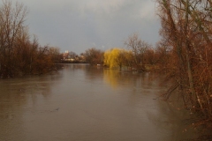 View from the Harrison Street Bridge