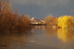 View from the Harrison Street Bridge