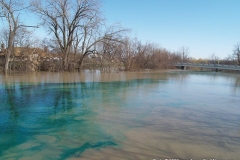 The 'green' St. Mary's River