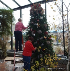 2015/11/16: Tree trimming at the Botanical Conservatory