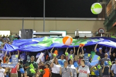 2015/07/31: Giant flag celebrating our local Indiana Regional Cities Initiative