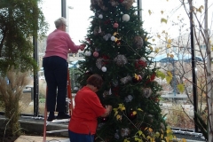 2015/11/16: Tree trimming at the Botanical Conservatory