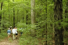 Explorers in Blue Cast Springs