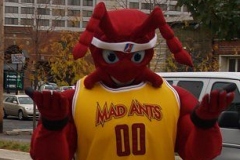 Mad Ants mascot