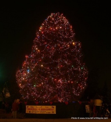 Broadway Christmas Tree