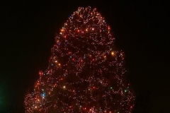 Broadway Christmas Tree