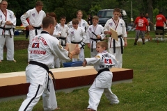 Taekwondo demonstration