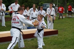 Taekwondo demonstration