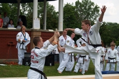 Taekwondo demonstration