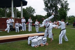 Taekwondo demonstration