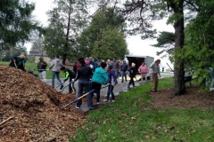 Clean-up at Memorial Park