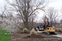 2013/04/25: Tree planting