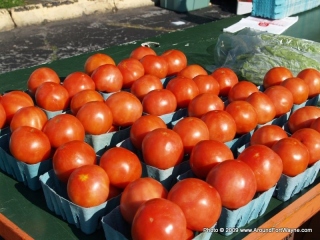 2009/06/05: Tomatoes
