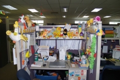 Decorated cubicles