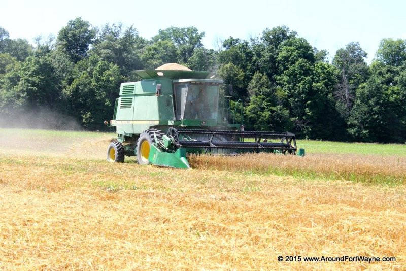 Oat and wheat harvest in full swing