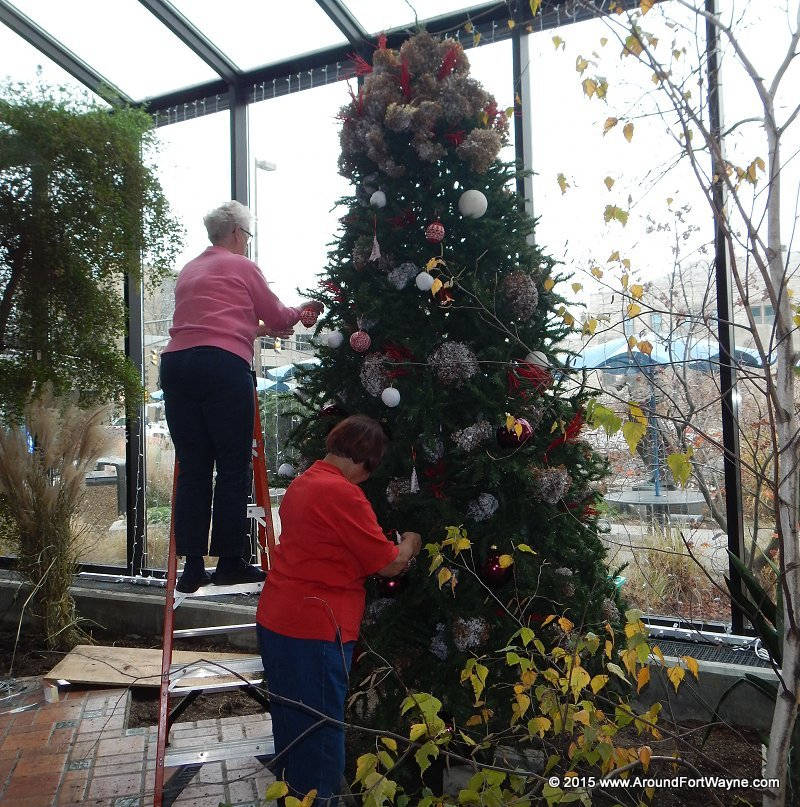 Tree trimming at the Botanical Conservatory