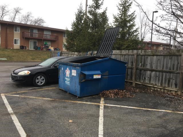 The dumpster where the deceased dog was found.