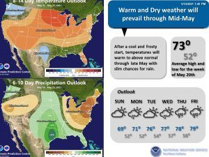warm and dry second half of May