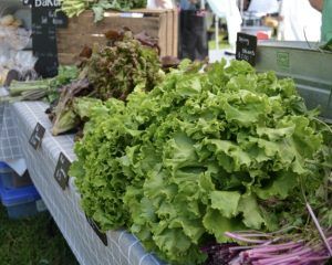 Farmers Market